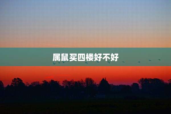 属鼠买四楼好不好