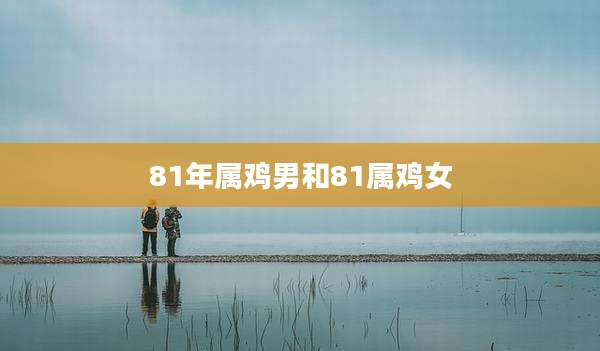 81年属鸡男和81属鸡女