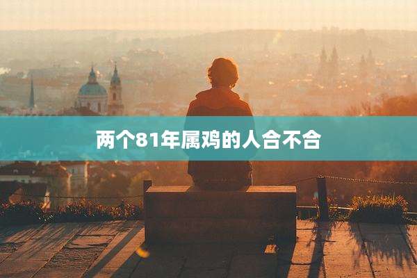 两个81年属鸡的人合不合