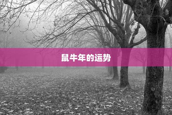 鼠牛年的运势