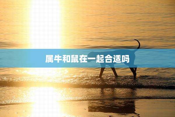 属牛和鼠在一起合适吗