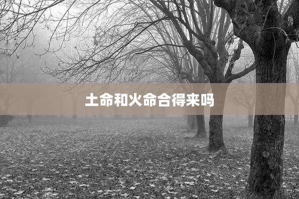 土命和火命合得来吗