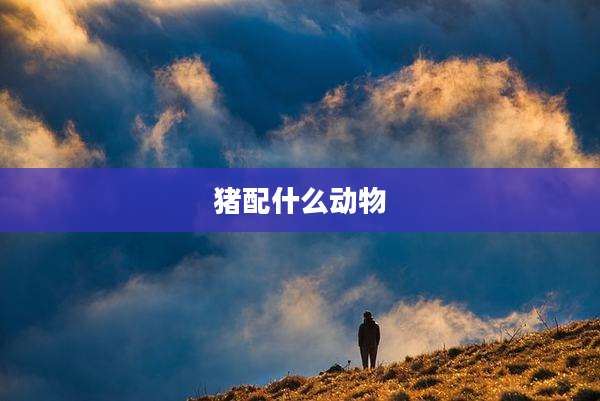 猪配什么动物