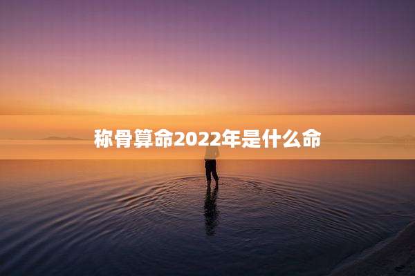 称骨算命2022年是什么命