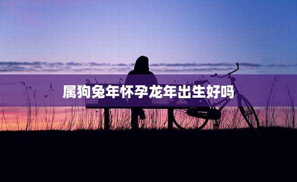 属狗兔年怀孕龙年出生好吗
