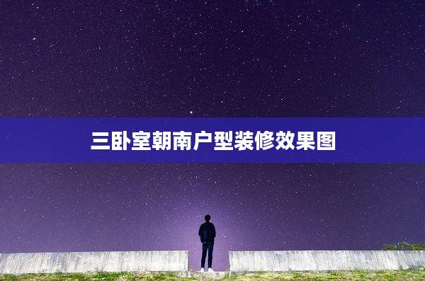 三卧室朝南户型装修效果图