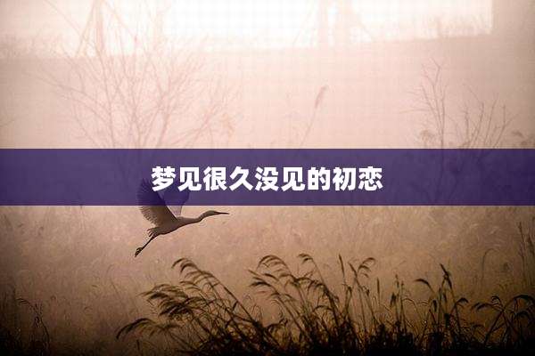 梦见很久没见的初恋