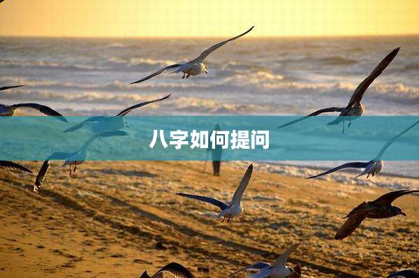 八字如何提问