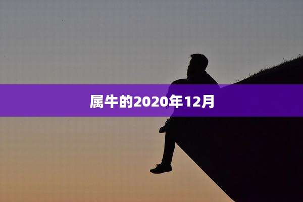 属牛的2020年12月