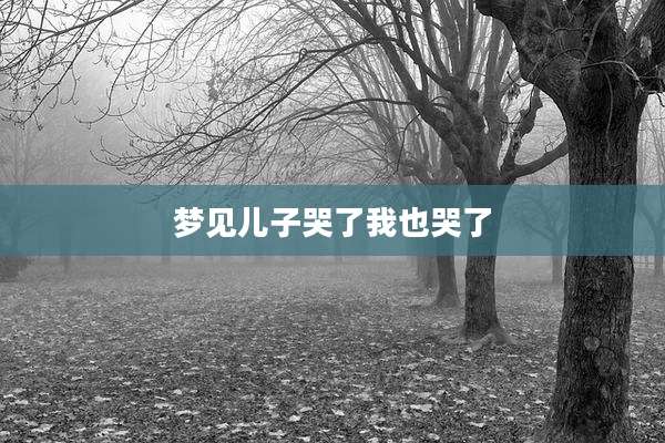 梦见儿子哭了我也哭了