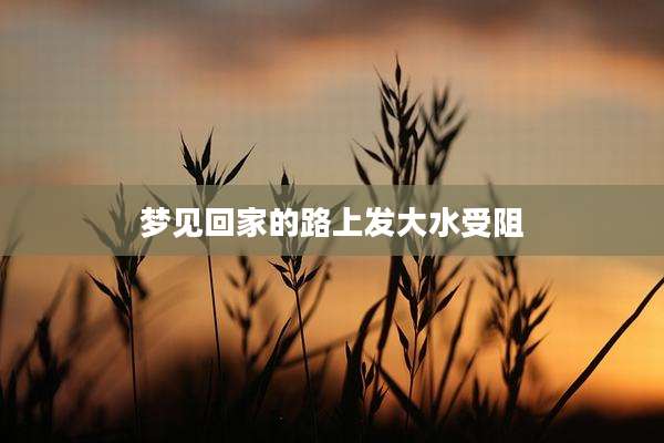 梦见回家的路上发大水受阻