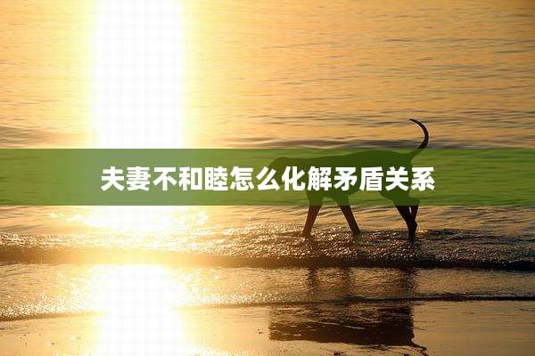 夫妻不和睦怎么化解矛盾关系
