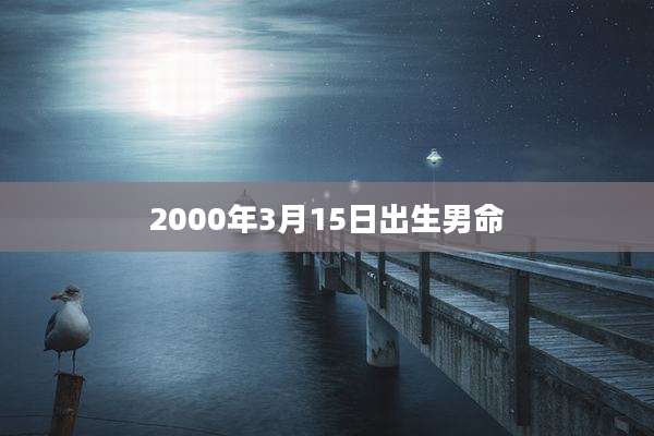 2000年3月15日出生男命
