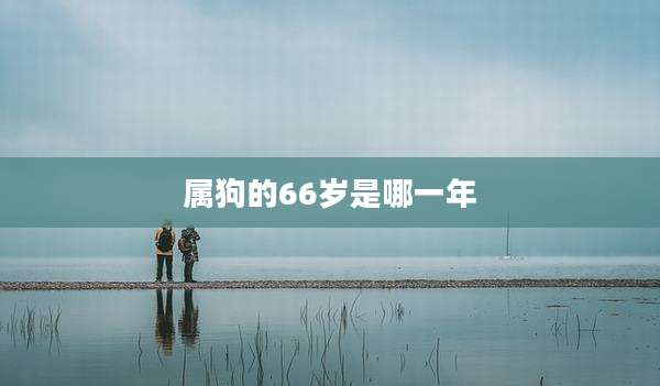 属狗的66岁是哪一年