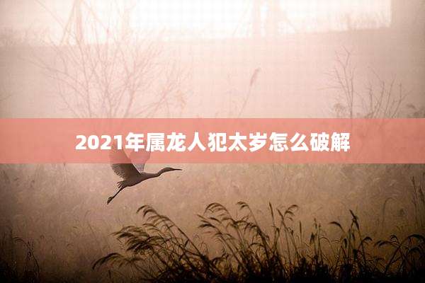 2021年属龙人犯太岁怎么破解