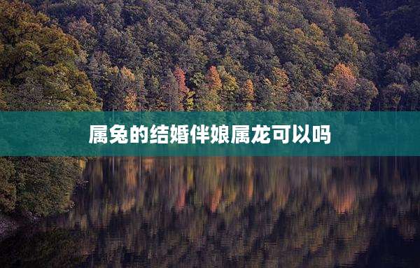 属兔的结婚伴娘属龙可以吗