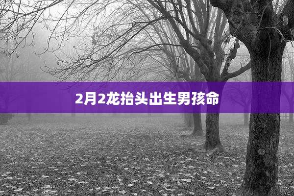 2月2龙抬头出生男孩命