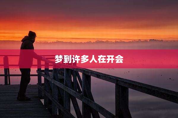 梦到许多人在开会