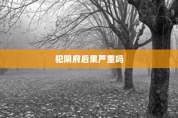犯阴府后果严重吗