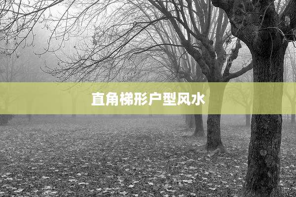直角梯形户型风水