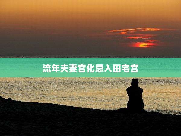 流年夫妻宫化忌入田宅宫