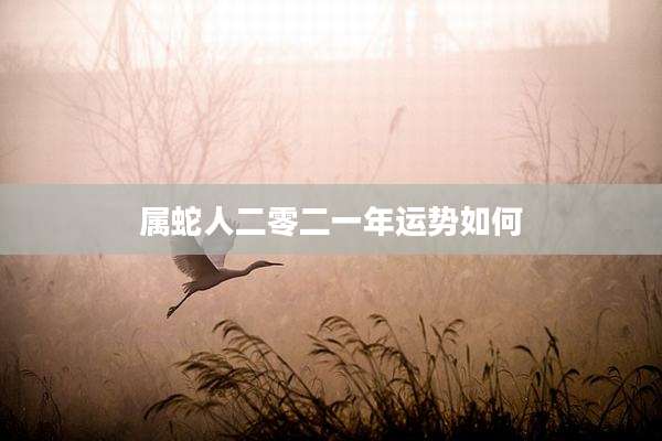 属蛇人二零二一年运势如何