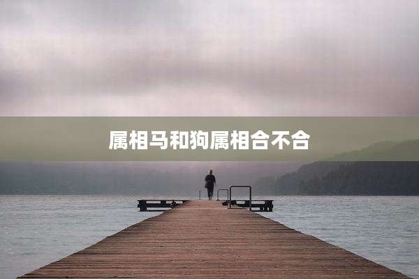 属相马和狗属相合不合