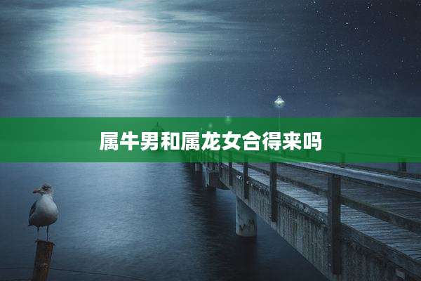 属牛男和属龙女合得来吗