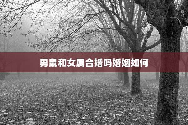 男鼠和女属合婚吗婚姻如何