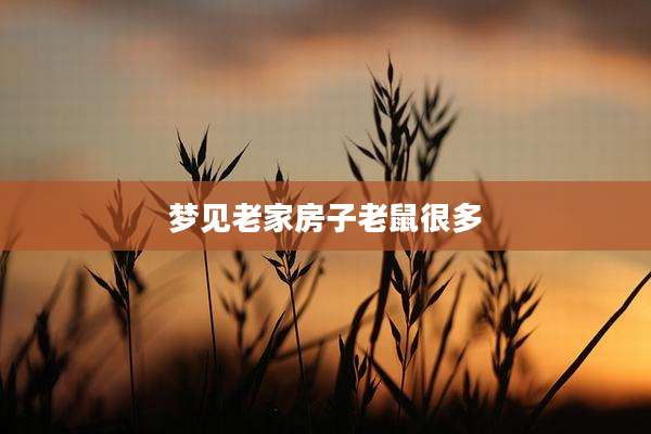 梦见老家房子老鼠很多