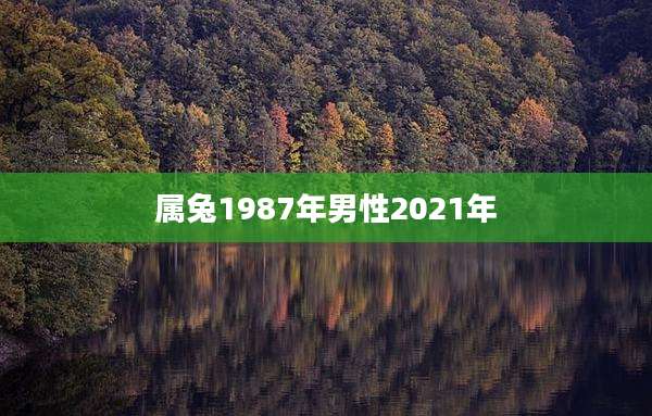 属兔1987年男性2021年