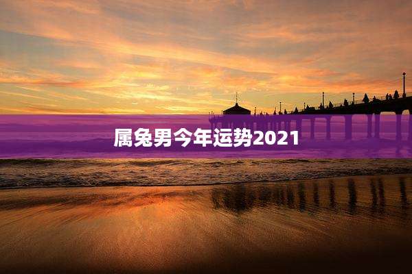 属兔男今年运势2021