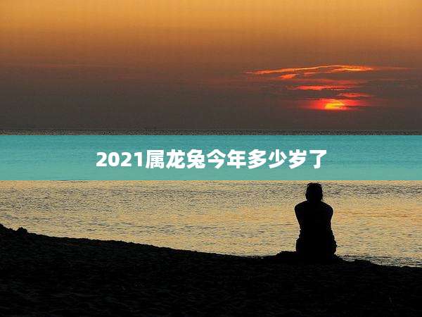 2021属龙兔今年多少岁了