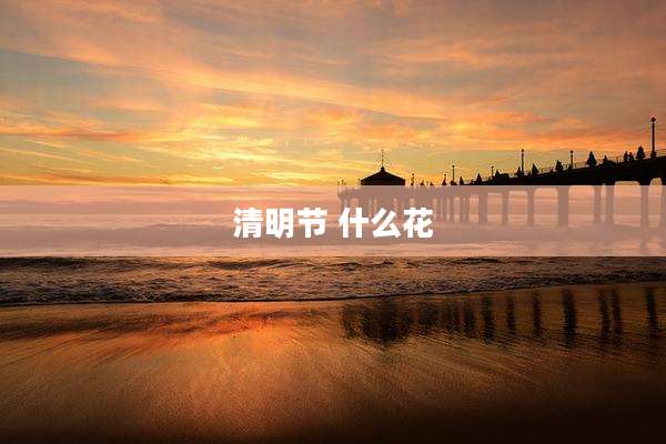 清明节 什么花