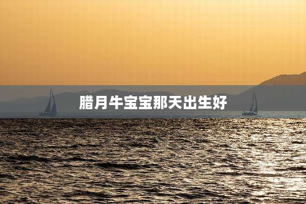 腊月牛宝宝那天出生好