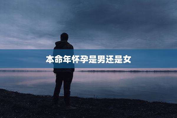 本命年怀孕是男还是女
