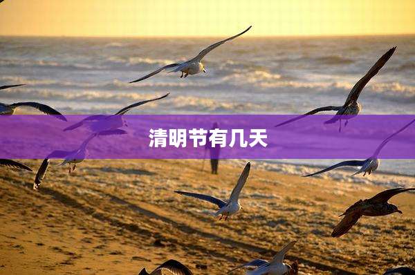 清明节有几天