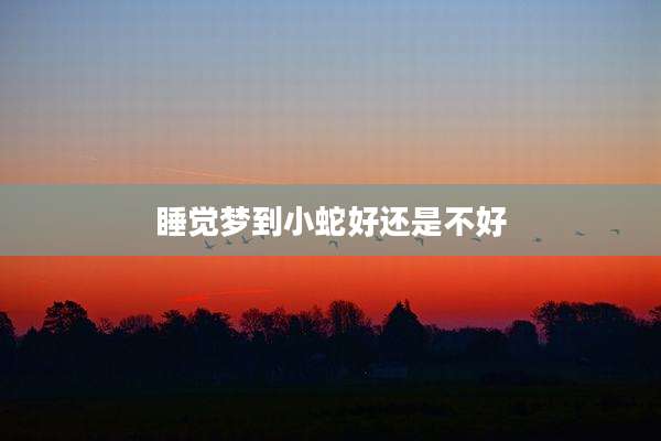 睡觉梦到小蛇好还是不好