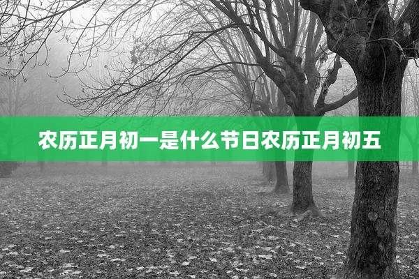农历正月初一是什么节日农历正月初五