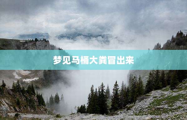 梦见马桶大粪冒出来
