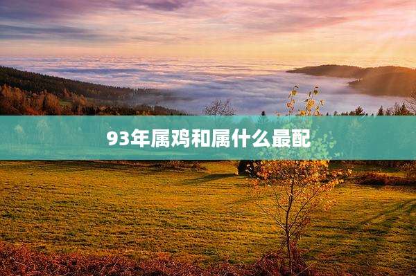 93年属鸡和属什么最配