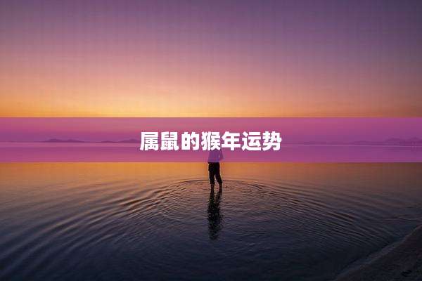 属鼠的猴年运势