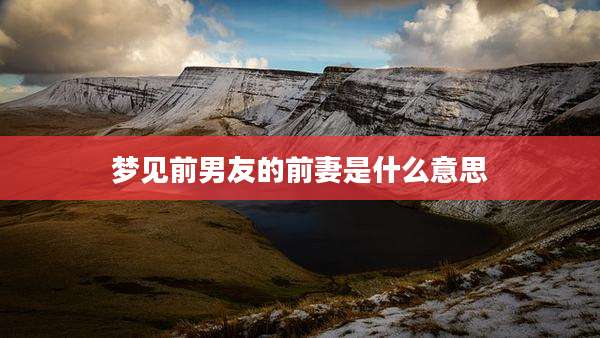 梦见前男友的前妻是什么意思