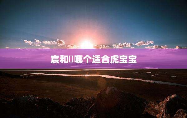 宸和莀哪个适合虎宝宝