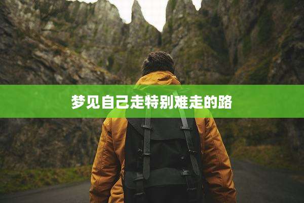 梦见自己走特别难走的路