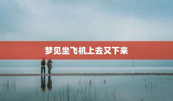 梦见坐飞机上去又下来
