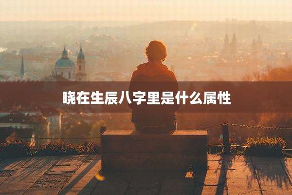 晓在生辰八字里是什么属性