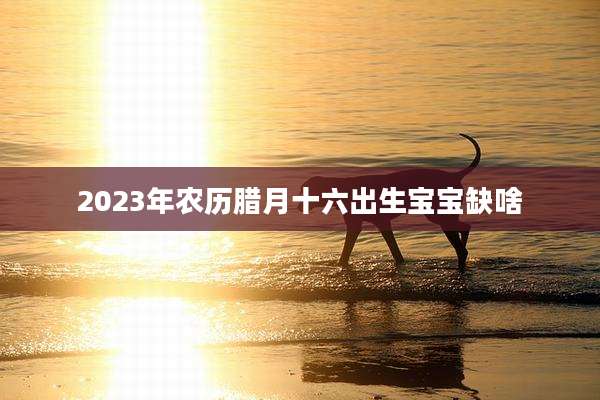 2023年农历腊月十六出生宝宝缺啥