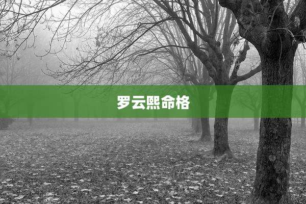 罗云熙命格