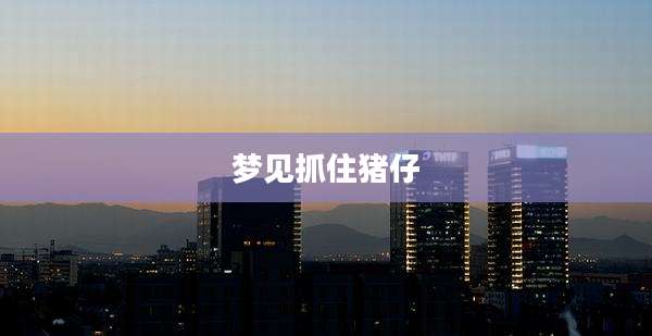 梦见抓住猪仔
